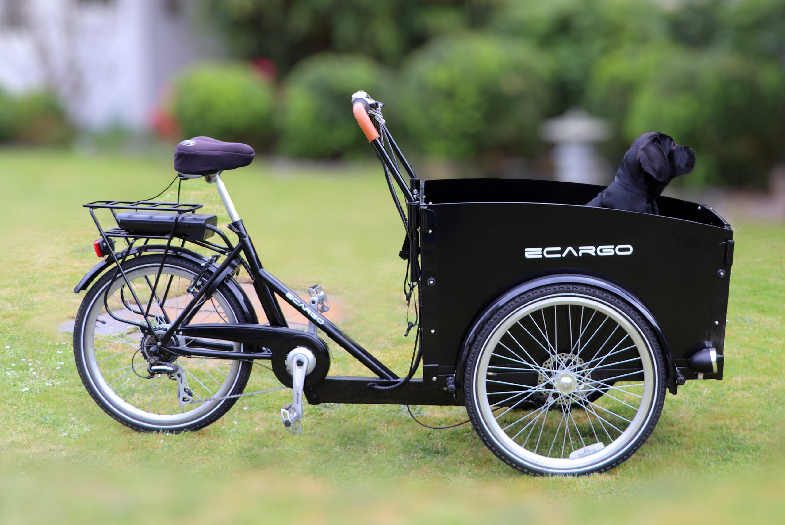 Cargo Bike