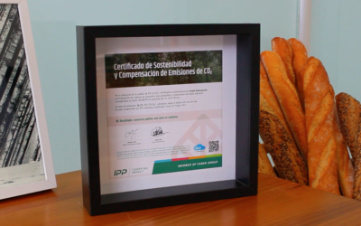 IPP reforça compromisso com a sustentabilidade ambiental