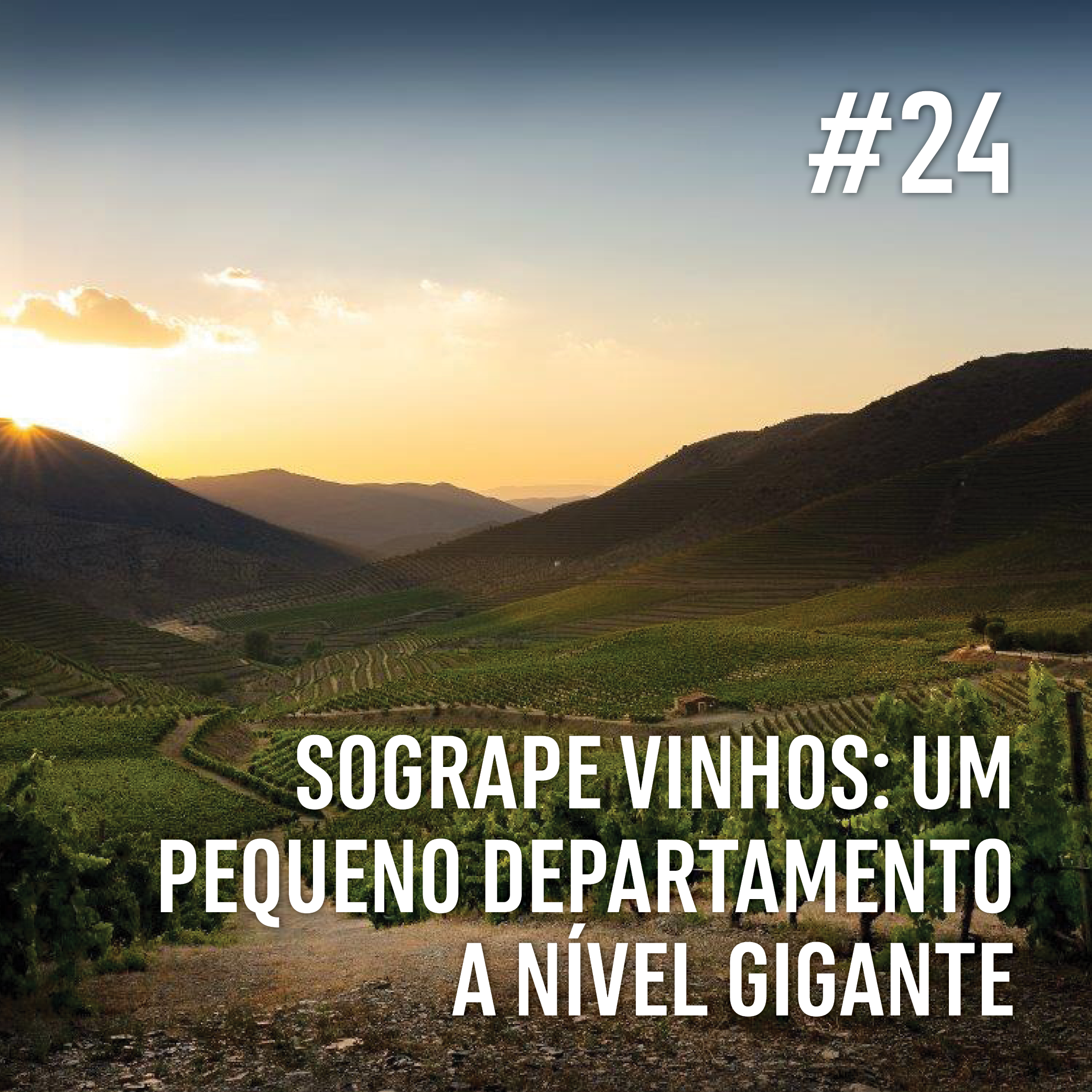 DESTAQUES REVISTA_43_24