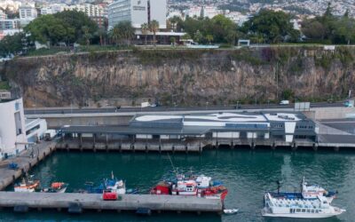 Madeira lança sistema integrado de gestão de lotas e entrepostos