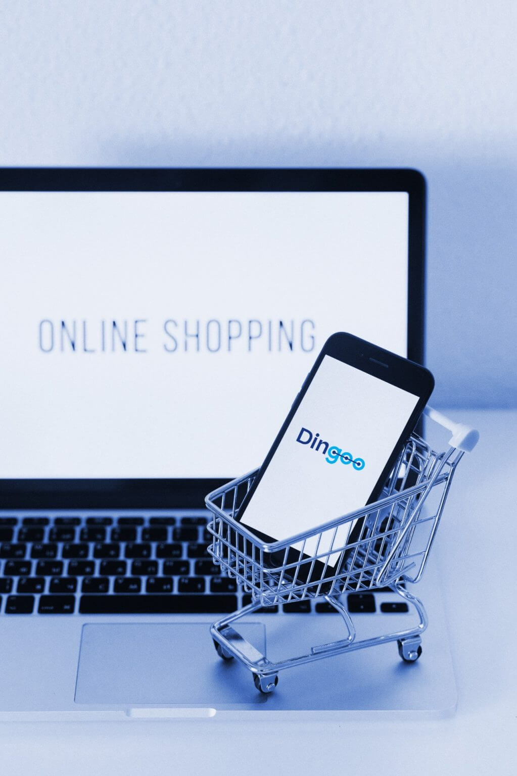 Com IA e machine learning Dingoo inova na última milha
