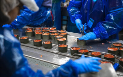 MSC anuncia revisão para reforçar sustentabilidade nos produtos do mar