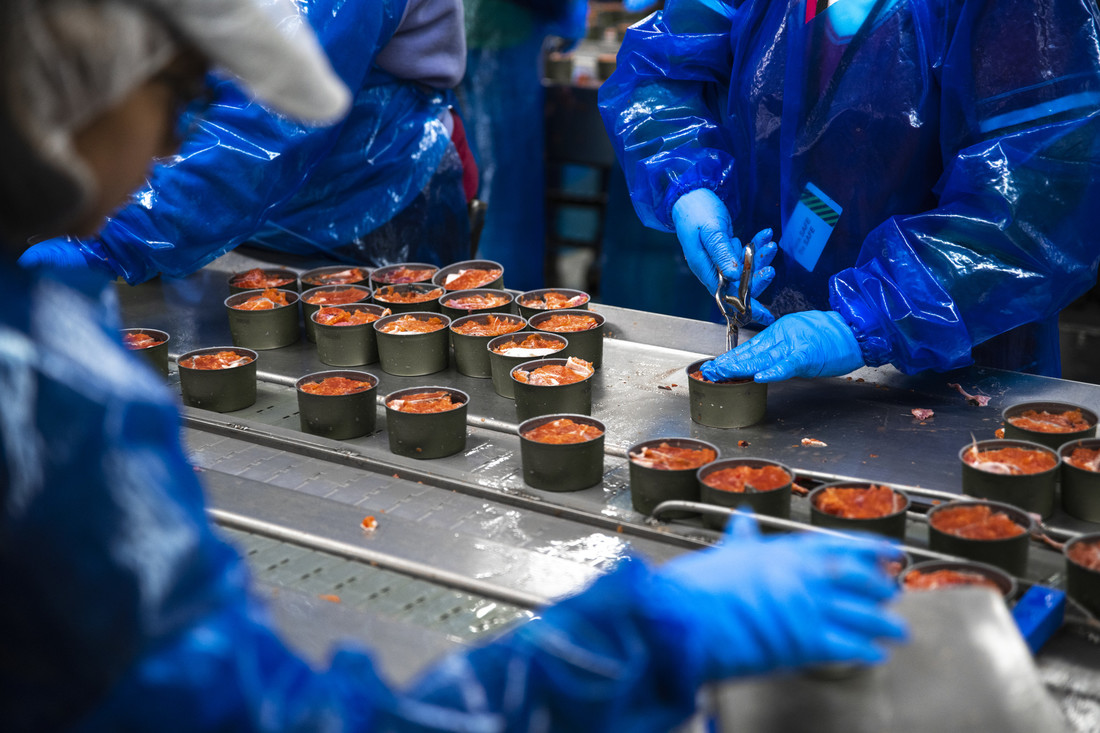 MSC anuncia revisão para reforçar sustentabilidade nos produtos do mar