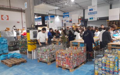 Banco Alimentar do Porto angariou 478 toneladas de bens alimentares