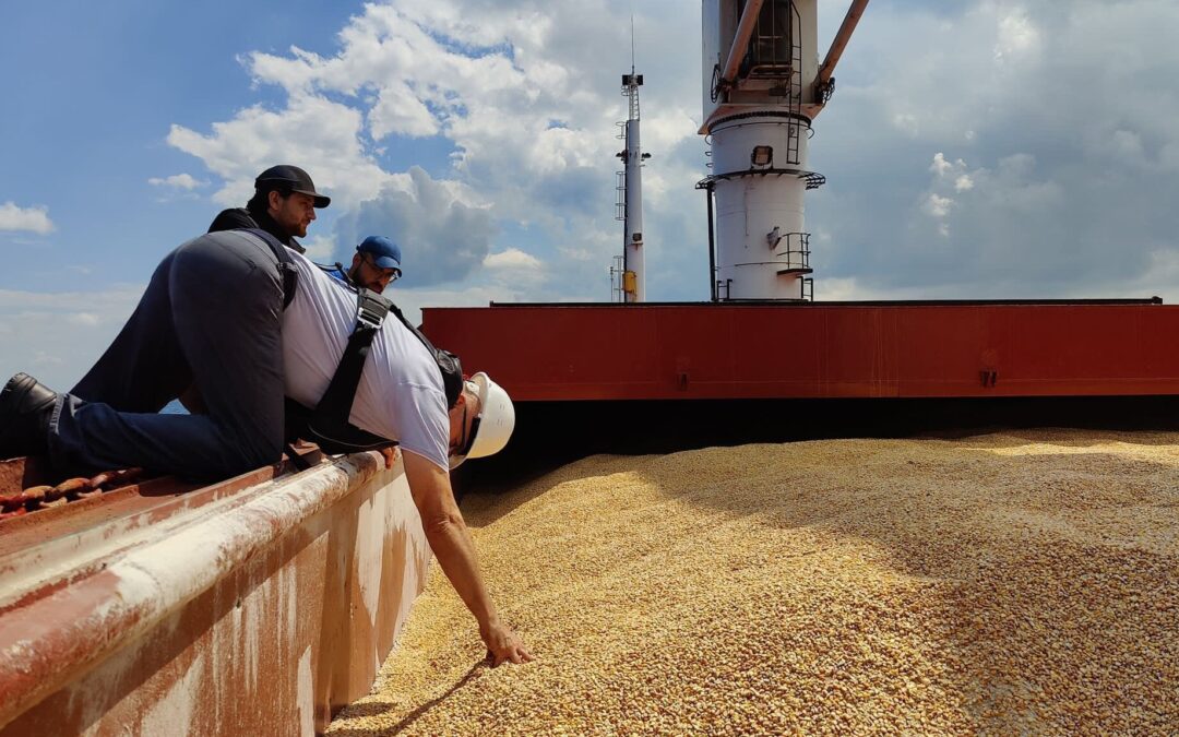 Obstáculos persistem no abastecimento de cereais sem acordo no Mar Negro