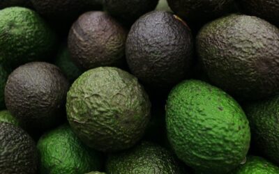 Espanhola Trops investe mais de 6 milhões em infraestrutura em Tavira