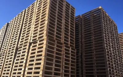 CoRe Capital entra no capital da empresa portuguesa de paletes de madeira Palsystems