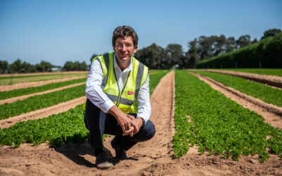 Controlar os processos logísticos é fundamental