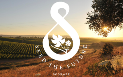 De Portugal a Itália: uma rota sustentável para o vinho