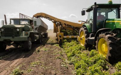 Práticas desleais nas cadeias de abastecimento agroalimentar na UE geram 39,4 milhões em multas