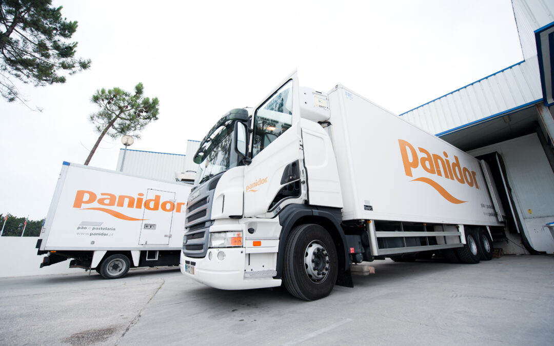Panidor