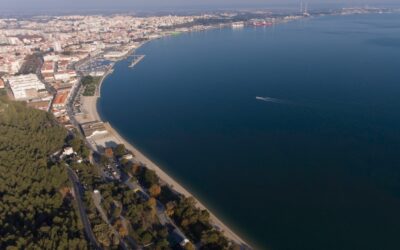 Porto de Setúbal renova concessões com Tersado e Sadoport