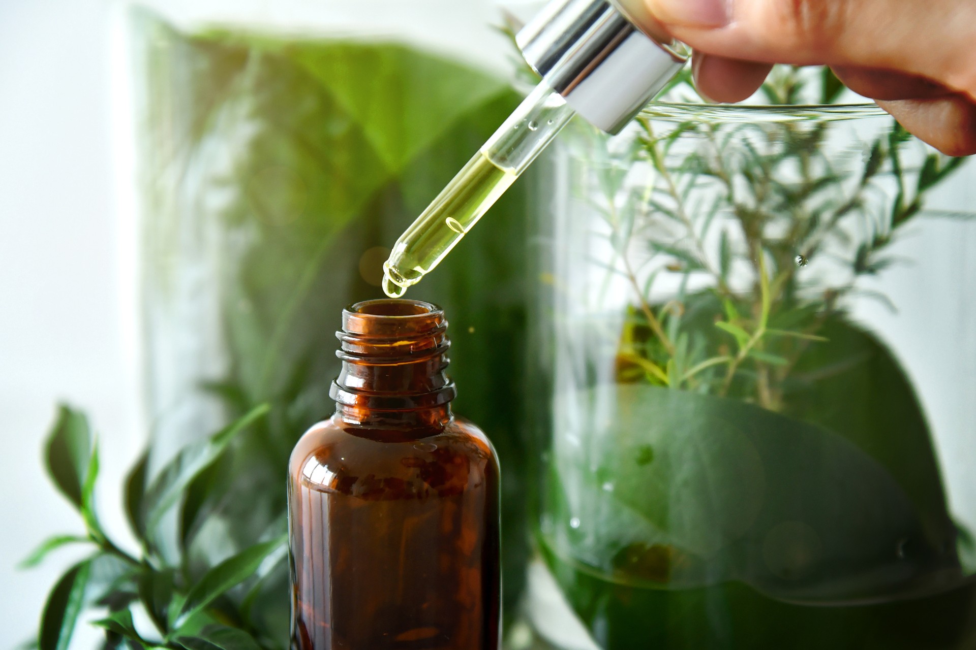 L’Oréal investe em biotech para ingredientes mais sustentáveis