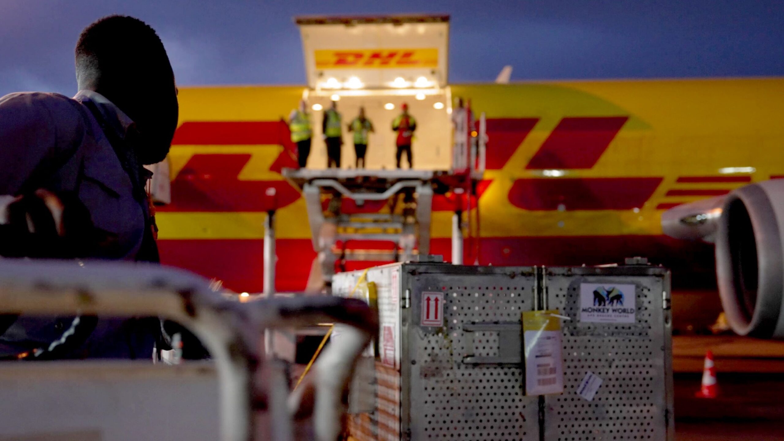 DHL Express suspende temporariamente envios globais para os Estados Unidos
