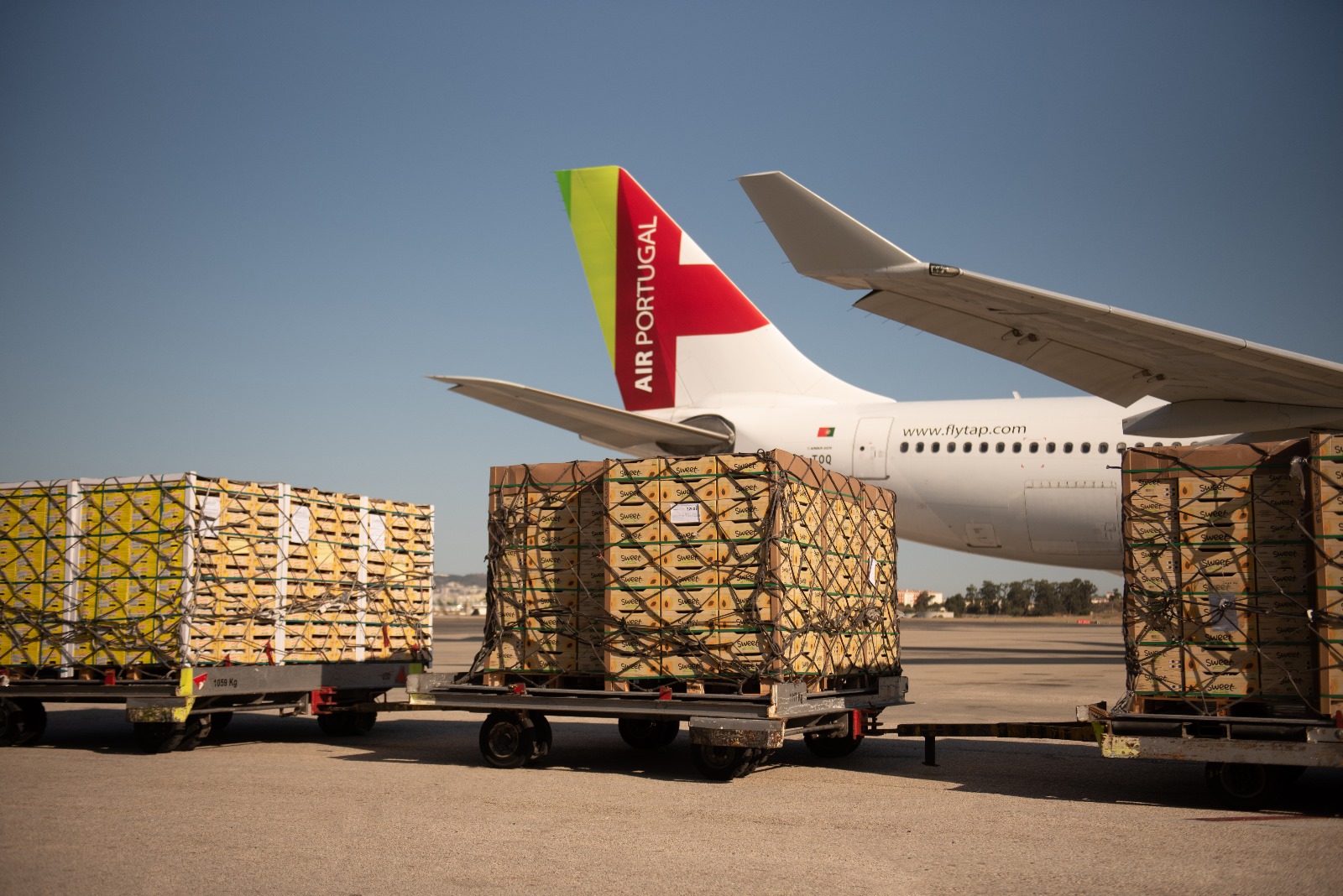TAP Cargo otimiza capacidade interligando Cargospot e Skypallet