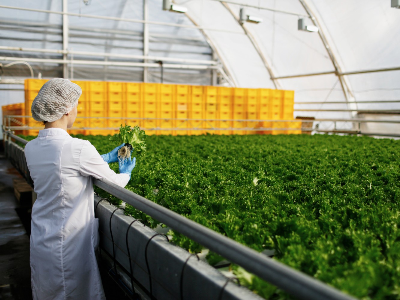Sustentabilidade influencia procurement na indústria alimentar
