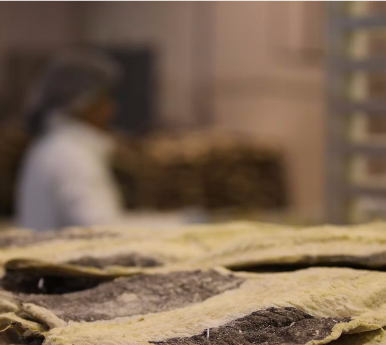 AIB denuncia concorrência desleal no mercado do bacalhau e exige ação