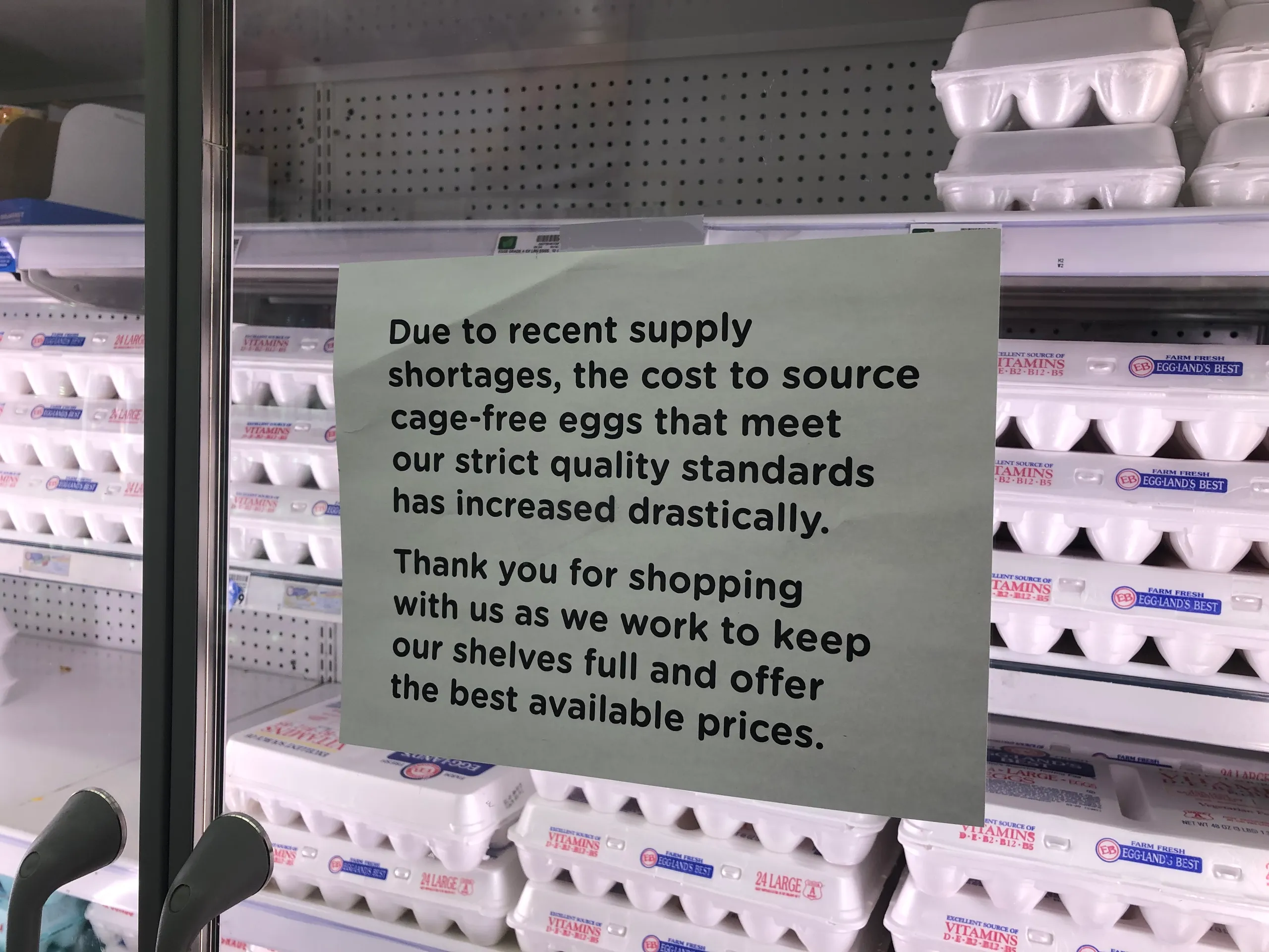 Supermercados norte-americanos limitam compra de ovos devido a gripe aviária