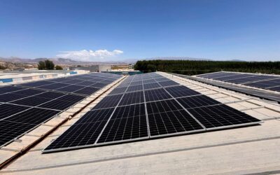 LOGIFRIO acelera transição energética em parceria com a Greenvolt