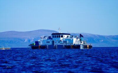 Governo quer ferry entre arquipélagos e continente para passageiros e mercadorias
