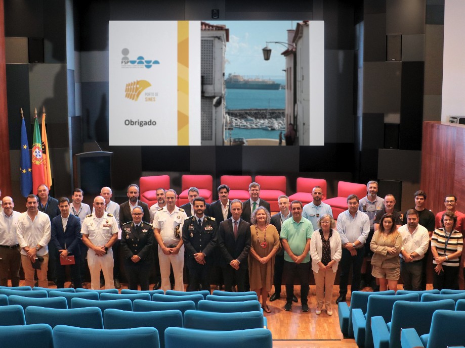 APS anuncia investimentos no sistema de controlo de acessos