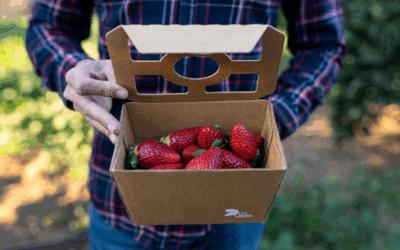 Marca “Portugal” em destaque na Fruit Attraction 2025