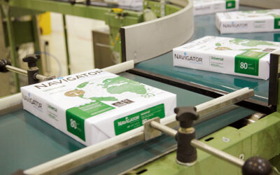 Navigator suspende produção na fábrica de Aveiro por falta de madeira nacional