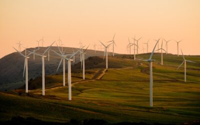 Schneider Electric expande medidas para descarbonização da cadeia de abastecimento