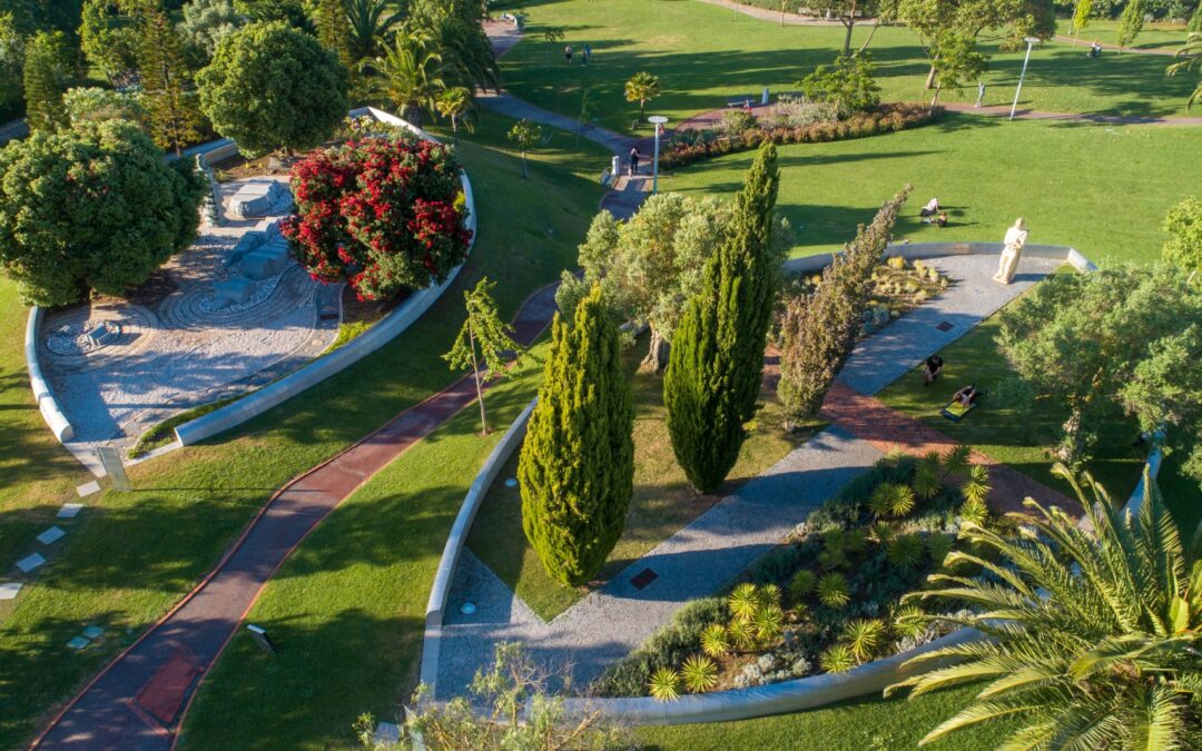 Oeiras premiada nos 2025 Procura+ Awards