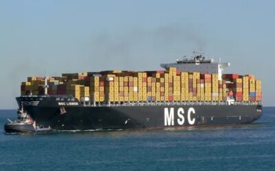 MSC supera os sete milhões de TEU e lidera top mundial