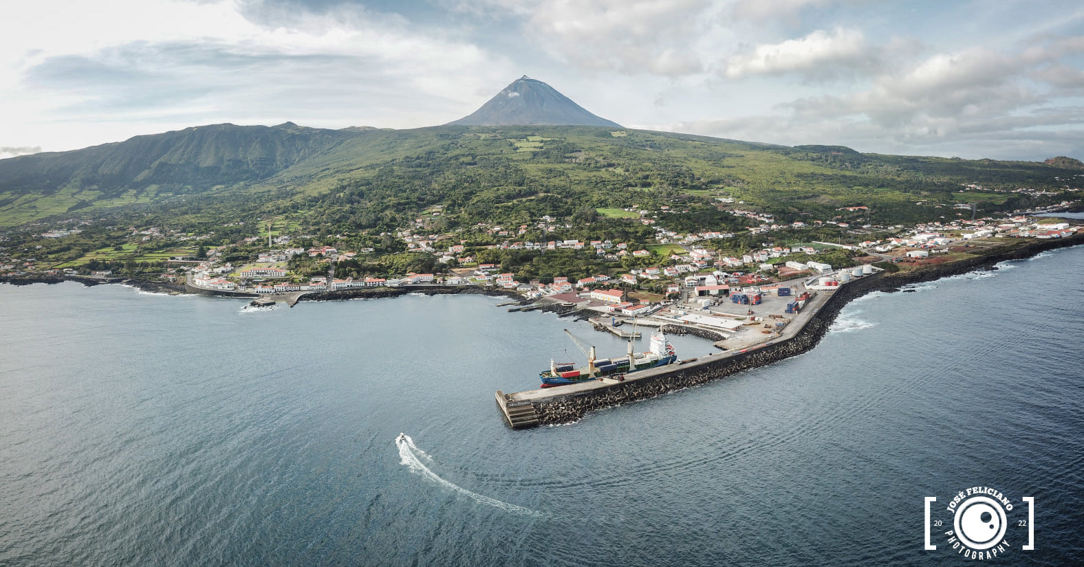 Açores envia 30 contentores com gado vivo para o continente