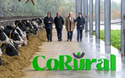 Aliança entre Lactogal e CLUN dá origem à CoRural e reorganiza cadeia do leite na Península Ibérica