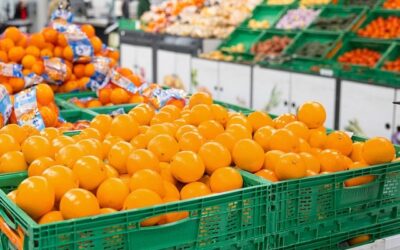 Mercadona compra Logifruit para unificar processos logísticos