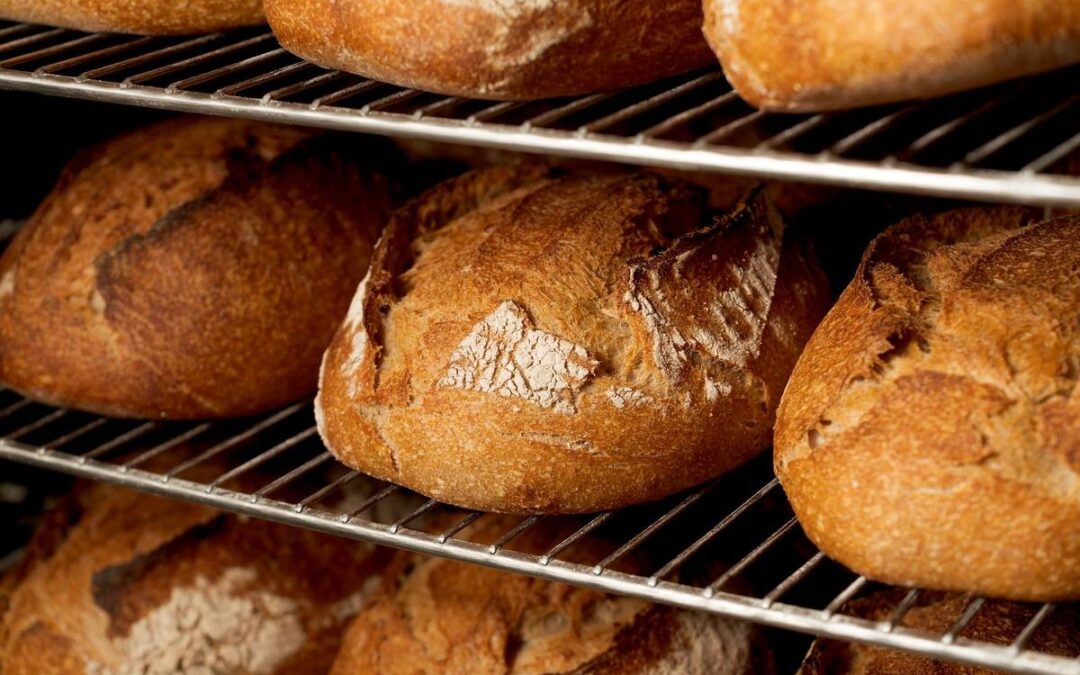 Inetum ajuda Gleba a conhecer stocks em tempo real