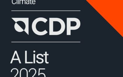 Jungheinrich melhora avaliação do desempenho ambiental