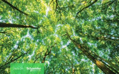 Centro de distribuição da Schneider Electric em Evreux distinguido como ‘Farol’ de sustentabilidade