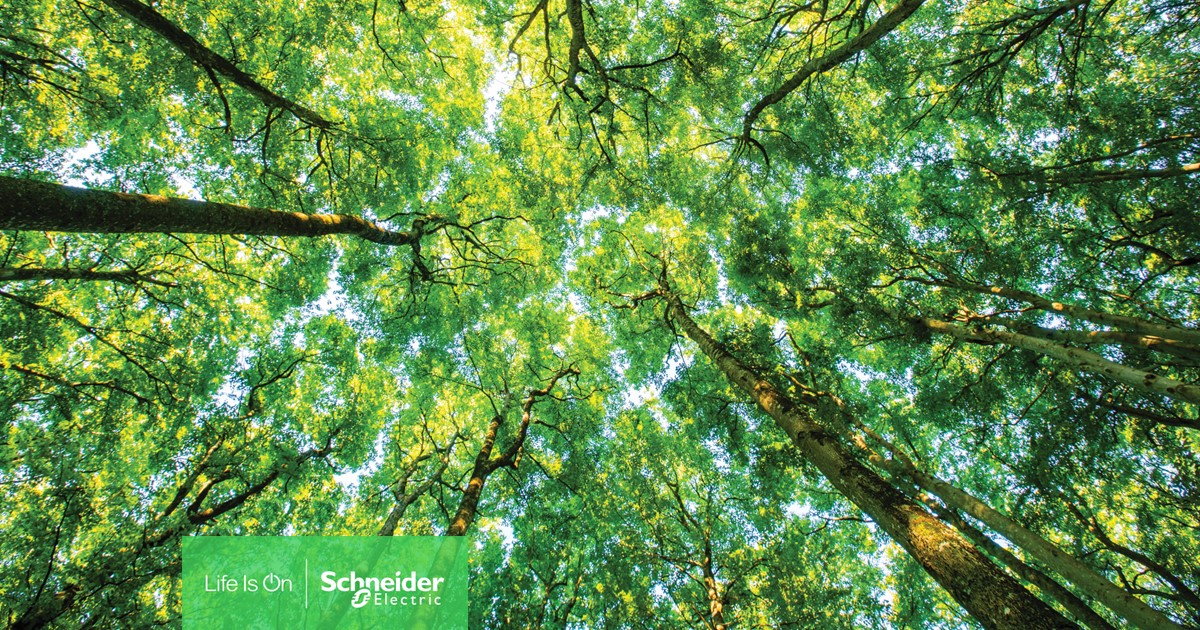 Centro de distribuição da Schneider Electric em Evreux distinguido como ‘Farol’ de sustentabilidade