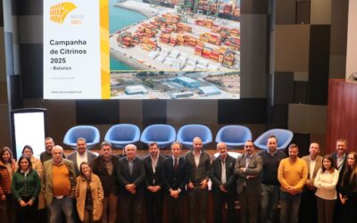 Porto de Sines: importação de citrinos cresce face a 2024