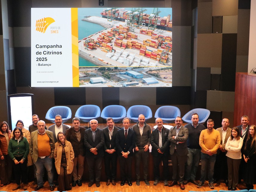 Porto de Sines: importação de citrinos cresce face a 2024