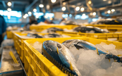 Açores: falta de raio-X “dual view” trava envio aéreo de pescado fresco em cinco ilhas