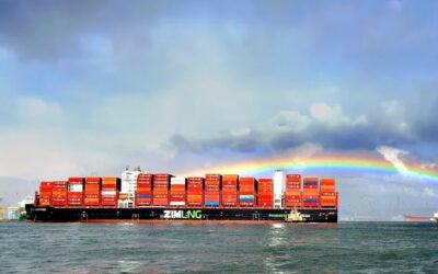 ZIM à beira da venda, rejeita proposta do CEO