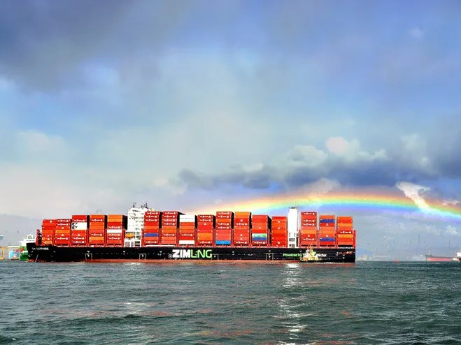 ZIM à beira da venda, rejeita proposta do CEO