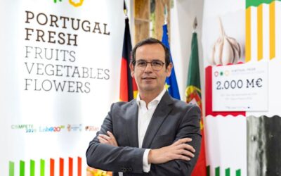 Portugal Fresh alerta para necessidade de respostas urgentes aos produtores afetados pela Kristin