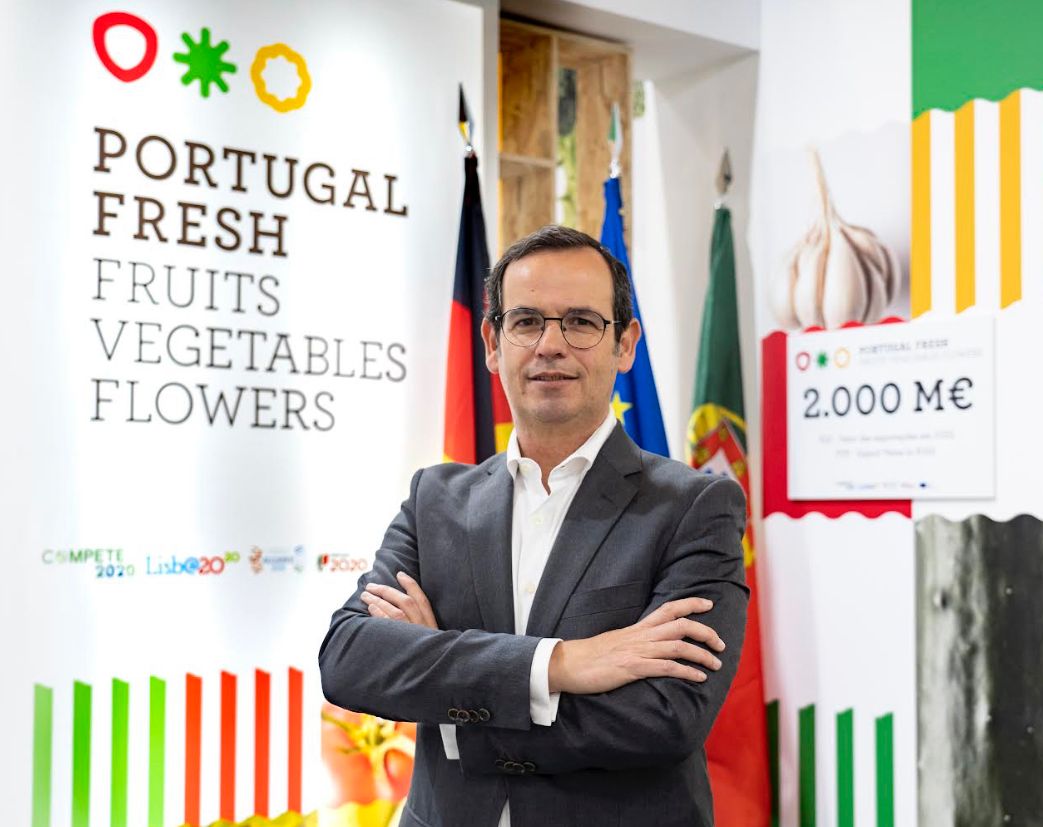 Portugal Fresh alerta para necessidade de respostas urgentes aos produtores afetados pela Kristin