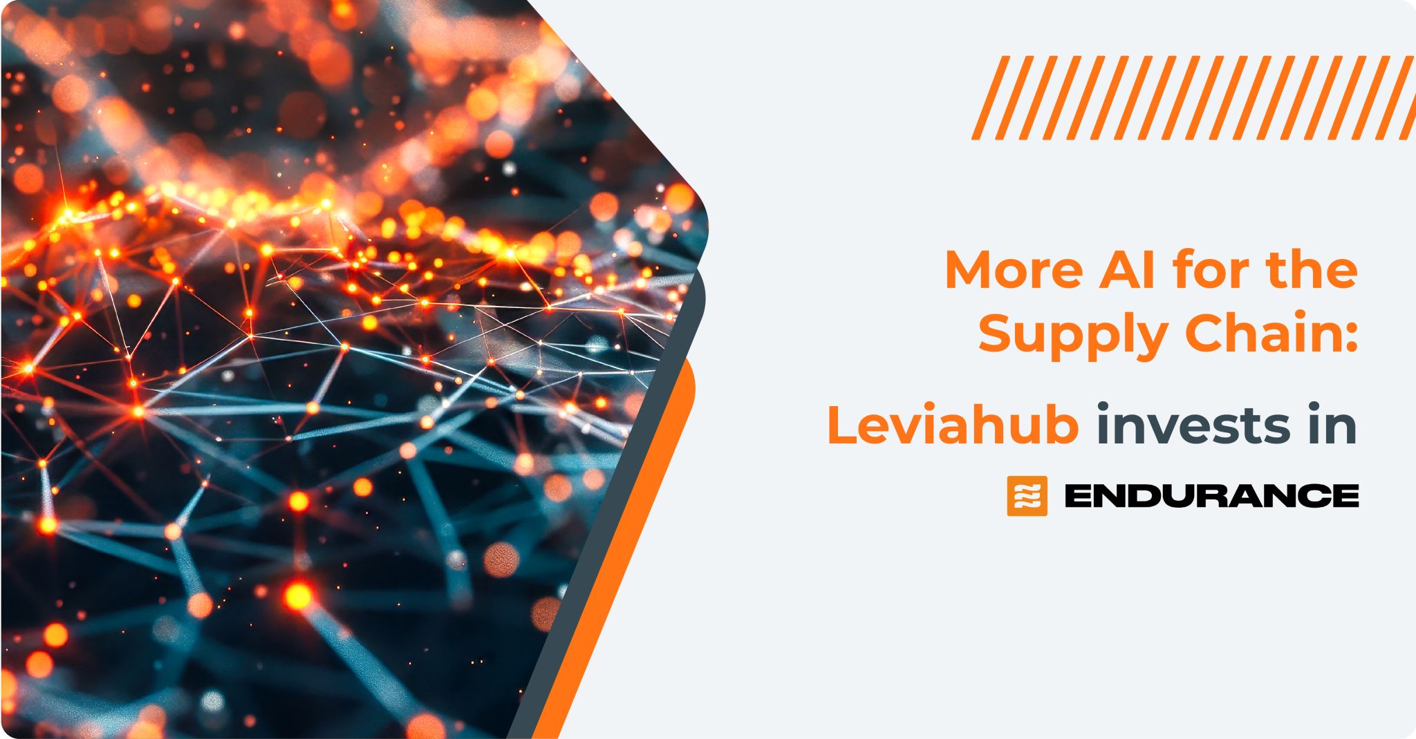 Leviahub e Endurance Italia
