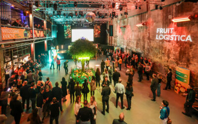 Quando o clima falha, a logística segura mas o custo fica a montante