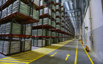 Terra Alegre acelera a descarbonização logística e conquista a 2.ª Estrela Lean & Green