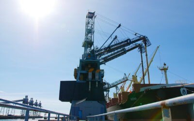 Silotagus lança PortWeather