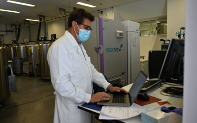 Da colheita à criopreservação: a logística da Bebévida