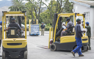 Previsões apontam para crescimento do mercado de empilhadores até 2034